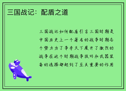 三国战记：配盾之道